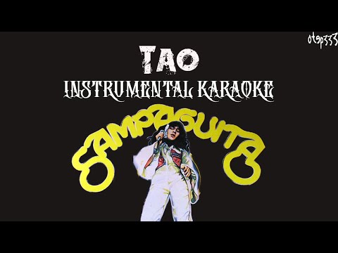 Sampaguita | Tao (Karaoke + HQ Instrumental)