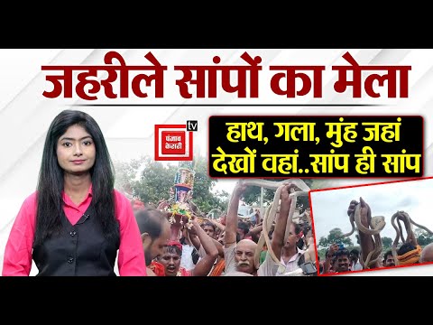 सांप ही सांप..Naag Panchami पर Samastipur में जहरीले सांपों का मेला, देखकर कांप जाएगी रूह | Bihar