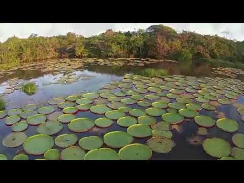 Protected Areas in Guyana
