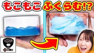 【DIY】わんこそばさん監修スライムのり第二弾！どんどん膨らむ!?ふわふわクリームスライムのりがマジで最高だった…！！【slime ASMR 音フェチもあるよ】