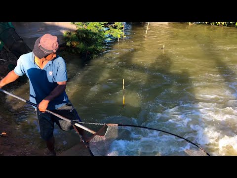 Wow!!! Real Life 100% Net Fishing In River At The Countryside (Part 9)