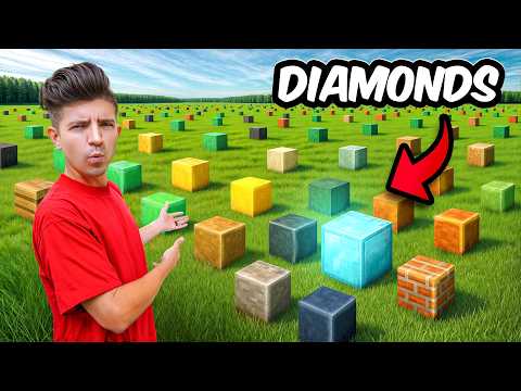 100 Minecraft Blocks But Only 1 Wins!