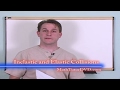 Momentum and Collisions Concepts
