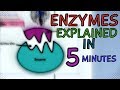 Exploring Enzyme Function in 5 Minutes