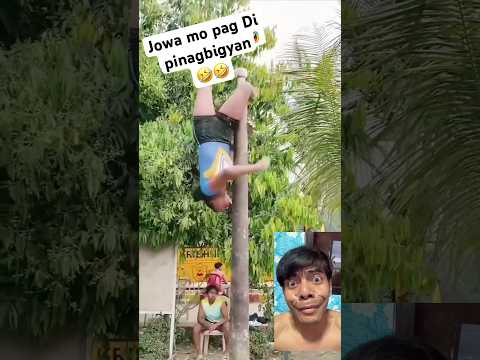 💯percent talendted#trendingshorts #funny #musicvideo #remix #viralshort #reaction