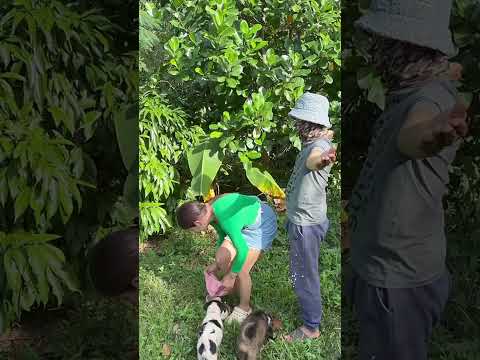 หุ่นไล่กา EP.2 #คลิปตลก #ตลก #คลายเครียด #ช่องยูทูป #บันเทิง #บันเทิง #funny #comedy #memes