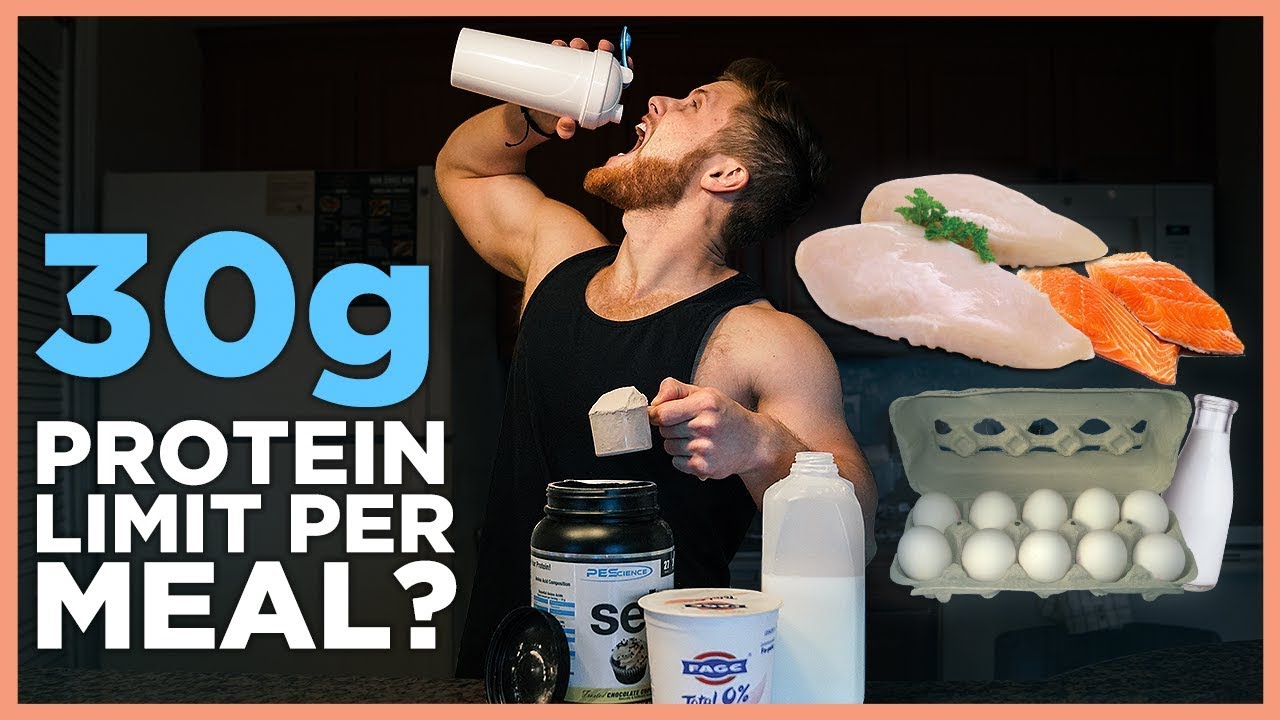 How Much Protein Can You Absorb In One Meal? (20g? 30g? 100g)
