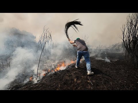 YouTube video thumbnail: Wildfires in Spain and Portugal Force Evacuations and Deployment of Thousands of Emergency Personnel