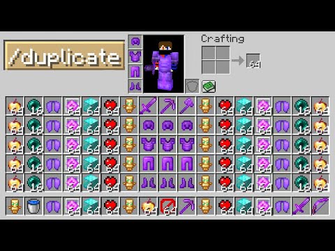 I Cheated with //DUPLICATE in Minecraft