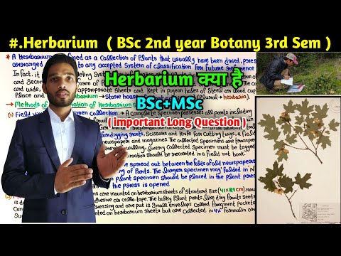 What Is herbarium || Method of Preparation of Herbarium Specimen || BSc 2nd Year Botany 3rd Semester