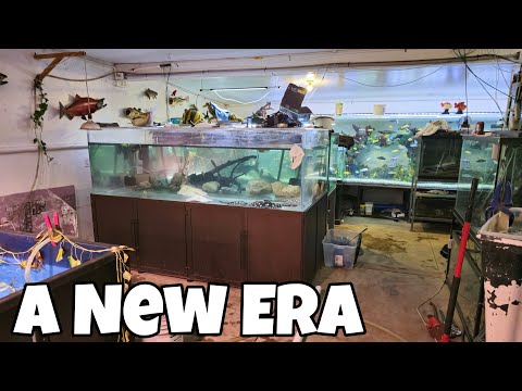 New Fishroom Layout Comes to Life