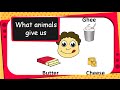 Animal Products and Their Uses