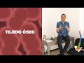 Funciones y Características del Tejido Óseo