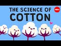 Understanding Cotton Fiber and Its Applications