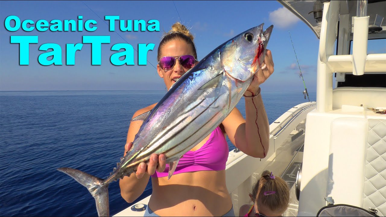 AMAZING Day of Deep Sea Fishing with my FAMILY! Catch Clean Cook Tuna TarTar