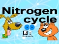 Understanding the Nitrogen Cycle