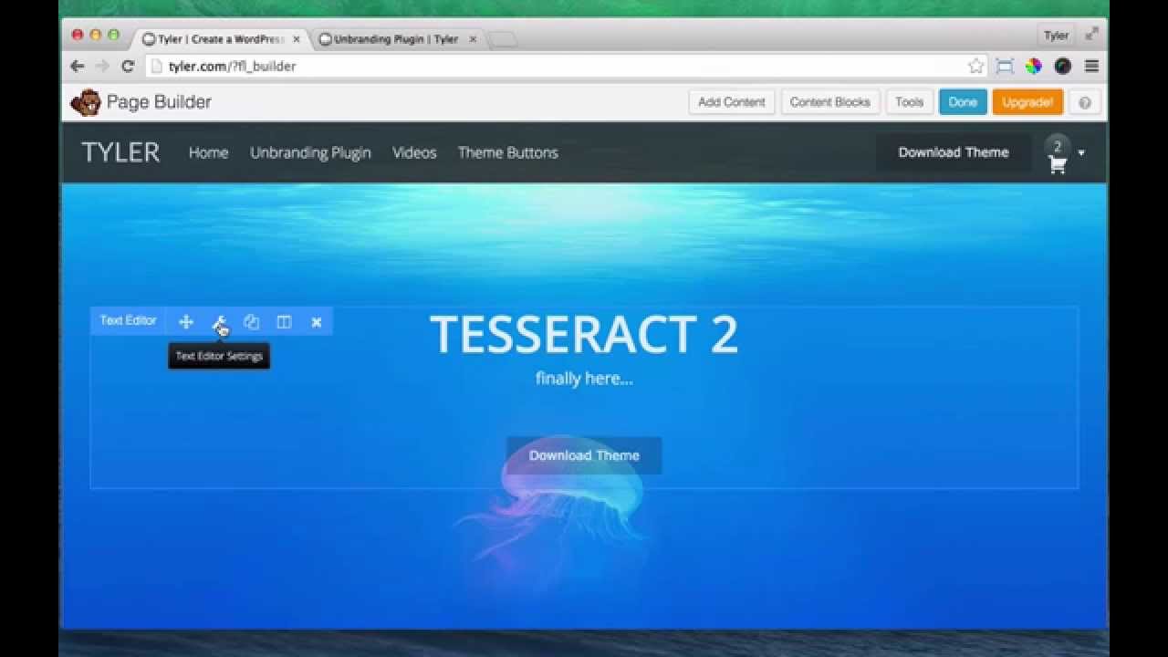 Make Really Cool Buttons In WordPress - Tyler Moore