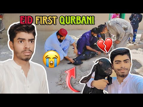 Eid Ul Adha 🥰🤗 | Qurbani 🐐🐂🐪🔪 | First vlog day video 🤩 | M.Mujeeb Deaf Vlog 2024