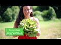 Reducción de la Huella Ecológica