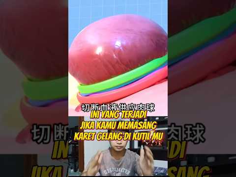 HAL YANG TIDAK BOLEH DI LAKUKAN KEPADA KUTIL #kisahnyata #fakta