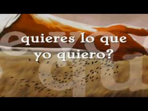 Fly En Espanol de Jason Upton Letra y Video