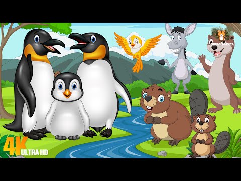 Farm Animal World: Penguin, Donkey, Goose, Beaver, Otter, Hamster, Hare - Animal video