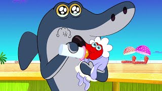 हिंदी Zig & Sharko ✨ NEW SEASON 3 👶 नया शिशु Hindi Cartoons for Kids