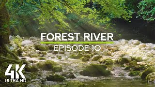 Peaceful Forest River Ambience 4K – Auzun-Uzen, Crimea | Natural White Noise for Sleep & Focus - #10