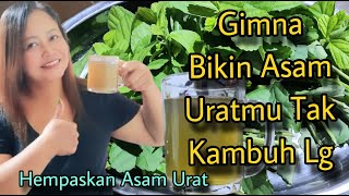 JANGAN REMEHKAN!!! INILAH KEKUATAN DAUN SIDAGURI UNTUK ASAM URAT