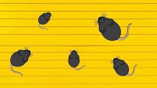 Chasing Mice, Cat Entertainment Video For Cats