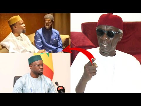 Serigne Habib Sy Dabakh :Pastef doit former un bloc pour préserver SONKO & Diomaye