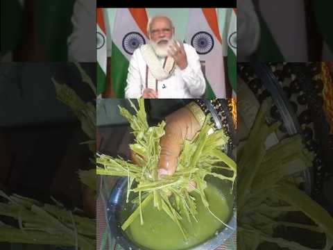 Modi Ji Ki Favourite Moringa Paratha| sahjan ka paratha (Drumstick paratha) सहजन की पराठा #sahjan​​