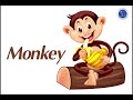 Understanding Monkeys
