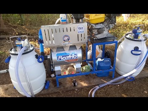 Ordenhadeira a gasolina compensa comprar?