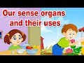Understanding Sense Organs