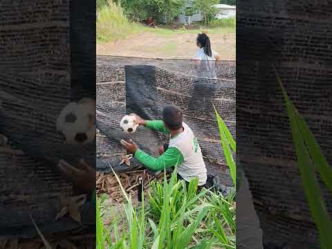 เล่นเตะบอล #ตลกขำๆ #funny