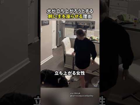 犬が立ちあがろうとする飼い主を座らせる理由