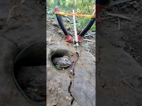 Survival Skills: SIMPLE and USEFUL. with.Trap frogs with claws  #bushcraft #camping #outdoors