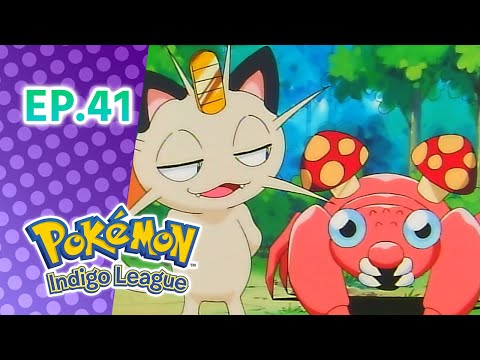 Pokémon: Indigo League एपिसोड 41: The Problem with Paras | Pokémon Asia Official (Hindi)
