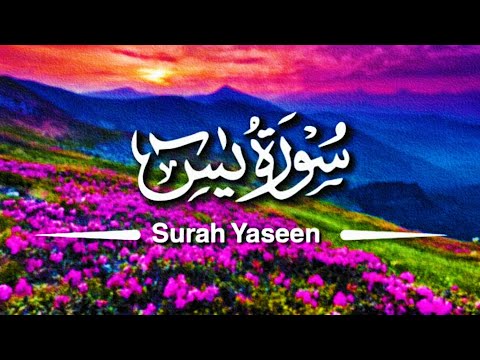 Surah Yasin||🌼🌼||Tajweed Pro