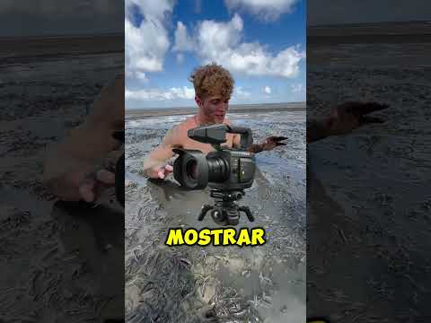 O animal mais perigoso de todos os tempos 😱