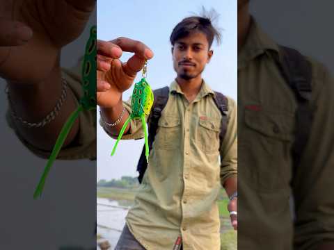 আজ পদ্মায় ফিশিং ফ্রগ দিয়ে হুইল এ কি মাছ পেলাম 🐟😍(454) bengali village fishing video #hookfishing