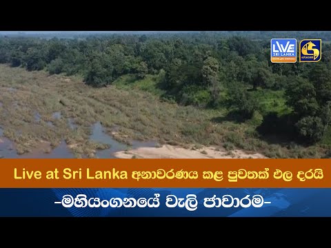 Live at Sri Lanka අනාවරණය කළ පුවතක් ඵල දරයි - DIGගේ අවධානය යොමු වුණ මහියංගනයේ වැලි ජාවාරම