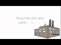 Exploring Enzymes and Their Industrial Applications