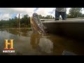 Willie Edwards' Alligator Hunting Adventure