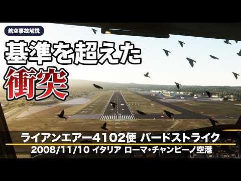 【解説】ライアンエアー4102便 バードストライク【航空事故】
