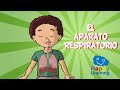 Funciones y Estructuras del Aparato Respiratorio