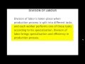 Division of Labor and Specialization