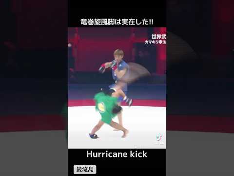 竜巻旋風脚は実在した！【巌流島】