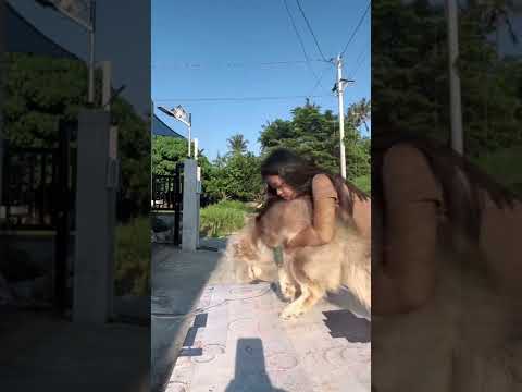 Last Memories With Blossom PART 1